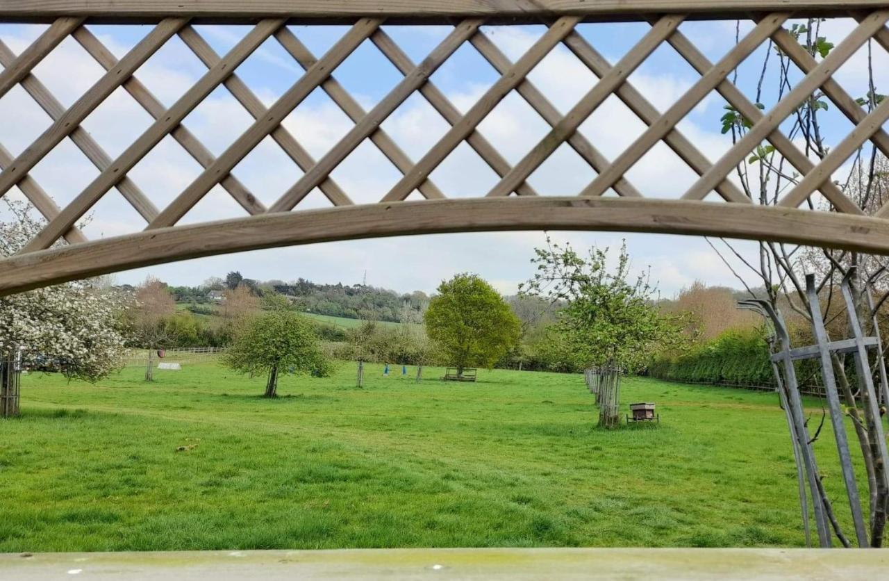Orchard View Yurt & Hot Tub Somerset Weston-super-Mare Extérieur photo