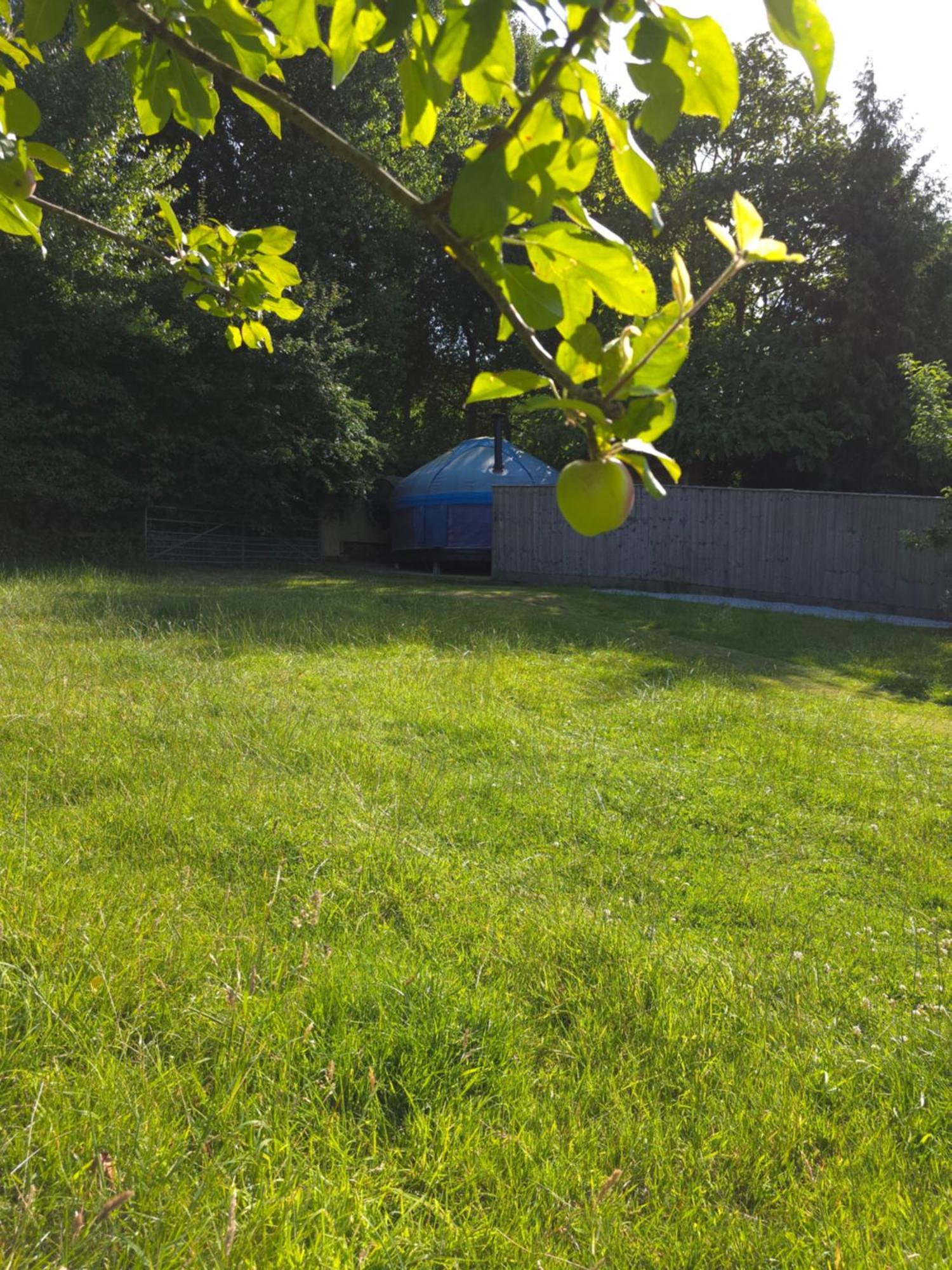 Orchard View Yurt & Hot Tub Somerset Weston-super-Mare Extérieur photo